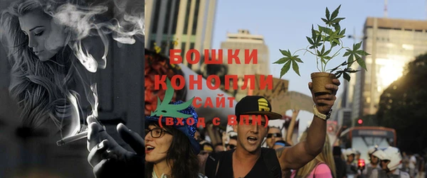 прущие крисы Инсар