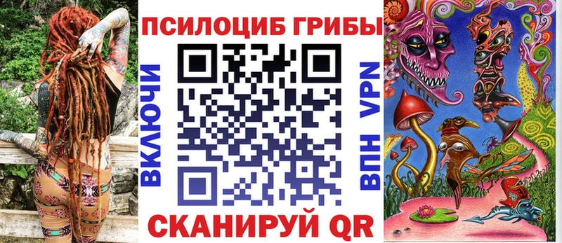 Купить закладки  Заозёрск  Галлюциногенные грибы прущие грибы 